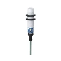 Telemecanique Sensors Threaded Barrel Capacitive Proximity Sensor M18 x 1 2-Wire 300mA 240V 8mm Detection XT218A1FAL2