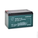 ENIX Energies Sealed Lead Acid Battery 12 V 12 Ah Lead Crystal Construction Standard Termination AMC9006
