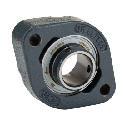 INA Flange Bearing Unit 25 mm Inside Diameter Cast Iron 2 Mount Holes FLCTEY25-XL