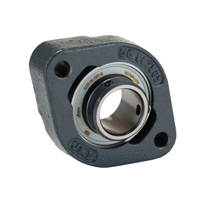 INA Flange Bearing Unit 25 mm Inside Diameter Cast Iron 2 Mount Holes FLCTEY25-XL