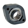 INA Flange Bearing Unit 25 mm Inside Diameter Cast Iron 2 Mount Holes FLCTEY25-XL