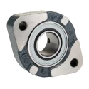 INA Flange Bearing Unit 25 mm Inside Diameter Cast Iron 2 Mount Holes FLCTEY25-XL