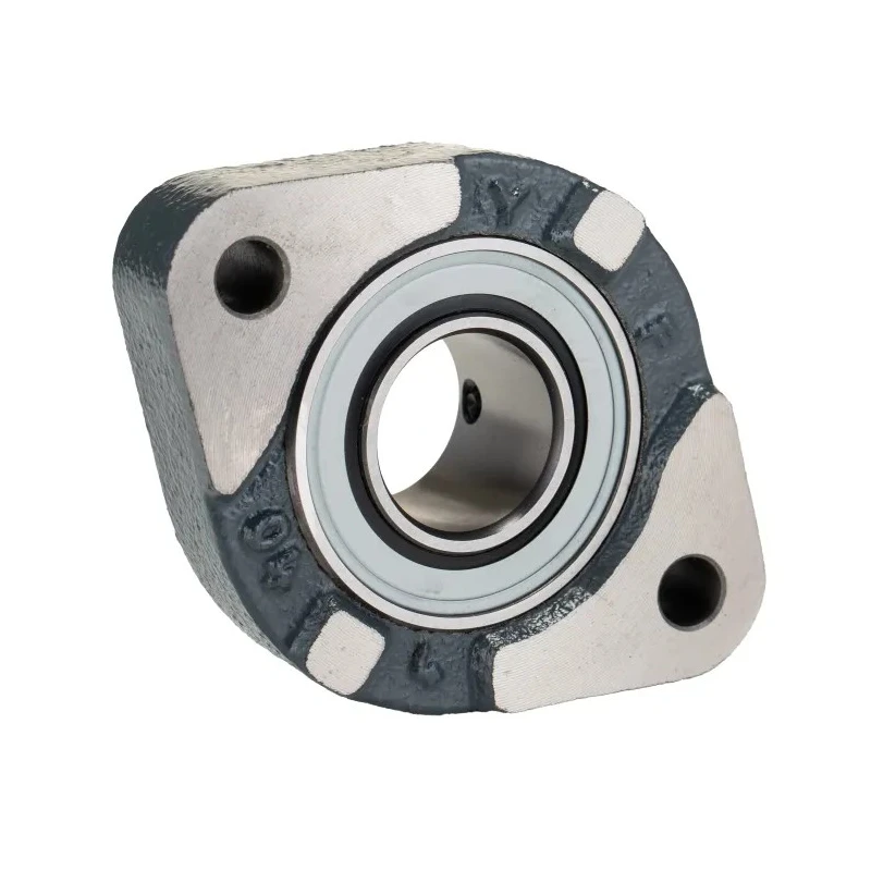 INA Flange Bearing Unit 25 mm Inside Diameter Cast Iron 2 Mount Holes FLCTEY25-XL