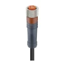 Lumberg Automation Sensor Actuator Cable Female 4 Way Straight to Unterminated 15 m 30V RKMV Series 44438 RKMV 4-225/15 M