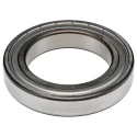 SKF Single Row Deep Groove Ball Bearing 65 mm Inside Diameter, 100 mm Outside Diameter, 18 mm Race Width, Double 6013-2Z