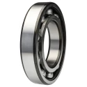 SKF Single Row Deep Groove Ball Bearing 95 mm ID, 170 mm OD, 32 mm Width, Sheet Metal Cage, Steel Balls 6219/C3