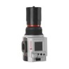 Norgren Pneumatic Regulator 3/4 in Outlet Size 0.3 bar Minimum Operating Pressure Excelon Plus R84G-6GK-RME