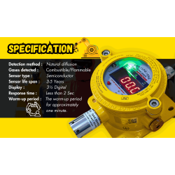 V-205 DEX Gas Detector for PNG/LPG/CNG, 30A, 250/600V