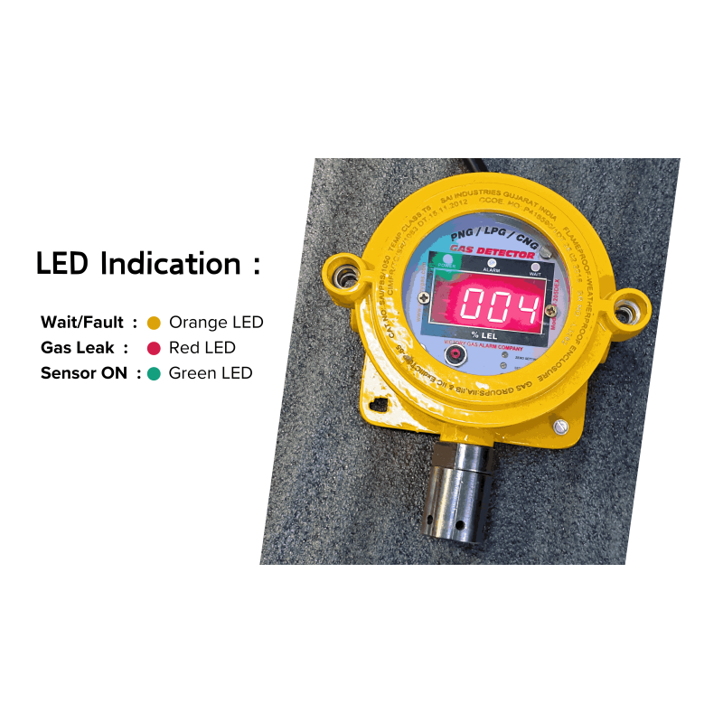 V-205 DEX Gas Detector for PNG/LPG/CNG, 30A, 250/600V