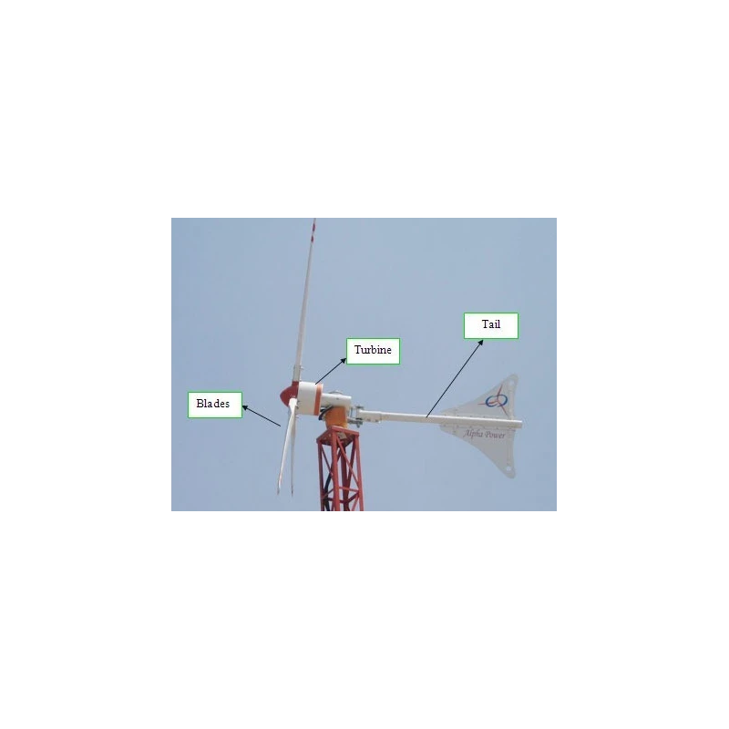 wind-mill-8791