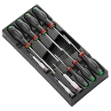 Facom Pozidriv, Slotted, Phillips, Hexagon, Torx Standard Screwdriver Set, 10-Piece MOD.AT6PB