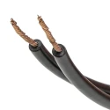 Arcolectric (Bulgin) Ltd 2950 Series Orange Panel Mount Indicator, 110V AC, Lead Wire Termination, Prominent L295000NAH