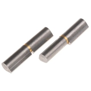 Pinet Raw Steel Flat Top Weld-on Hinge with Fixed Pin, Brass Washer, 45 mm x 10 mm x 8 mm 14-7-3583
