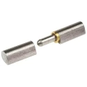 Pinet Raw Steel Flat Top Weld-on Hinge with Fixed Pin, Brass Washer, 45 mm x 10 mm x 8 mm 14-7-3583