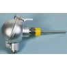 Correge PT100 RTD Sensor 6 mm Diameter, 100 mm Length, 6 Wire, Class A Accuracy, ATEX Certified, Max 500°C PT100