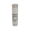 Mersen 25A 500V D1 Diazed Fuse with E16 Thread Size Q215593 / NDZGG50V25