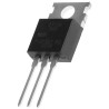 WeEn Semiconductors Co., Ltd TRIAC Through Hole 3-Pin TO-220 600 V 12A Rated Current BT138-600,127