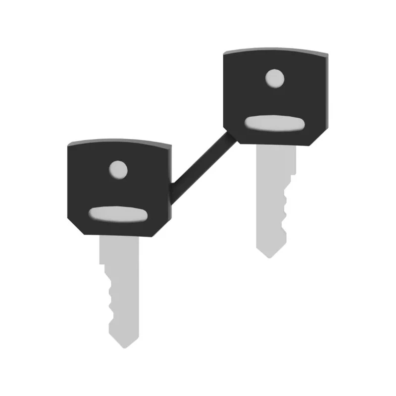 Schneider Electric Key Switch Key for XALD-XALK-XB4-XB5 Series 