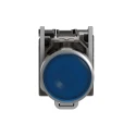 Schneider Electric Harmony XB4 Series Illuminated Push Button Switch, Spring Return, Panel Mount, 22 mm Cutout XB4BW36G5