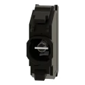 Schneider Electric Harmony Series Light Block Incandescent 250V ZBV6