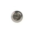NEUTRAL Plain Stainless Steel Button Tamper Proof Security Screw M4 x 12 mm 621-2647