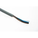 Pepperl + Fuchs Sensor Actuator Cable Female 4 Way Right Angle to Unterminated, 5 m, PVC Jacket, 250V V1-W-5M-PVC