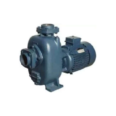 Buy Crompton 1 HP Dewatering Monoblock Pump DIMJ12-15