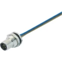 binder Sensor Actuator Cable 5-Way Male M12 to Free End, Polyamide Jacket, Black, 200mm 09-3441-116-05