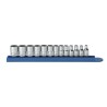 GearWrench 13-Piece 1/4 Inch Drive Bit, Deep, Driver, Plug Socket Standard Socket Set 80306