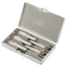 Facom Pozidriv Precision Screwdriver Set, 5-Piece, Slotted Sizes 2 mm, 2.5 mm, 3 mm, Pozidriv PH0 PH1, AEF.J5