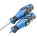 Gedore Standard Screwdriver Set, Pozidriv and Slotted Tips, 6-Piece 2150-2160 PZ-06