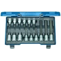Gedore Hex Screwdriver Bit Set, 15 Pieces, Vanadium Steel, Sizes Hex 5 to Hex 19, 1/2 in Drive, 320mm Length IN 19 LKM