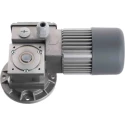 Mini Motor MC Reversible Worm AC Geared Motor, 3 Phase, 24-Pole, 230V/400V, 49W, Aluminium, Flange and Foot MC 244PT 80 B5