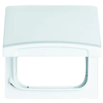 Busch Jaeger - ABB White Thermoplastic Blanking Plate 2118 GK - 34