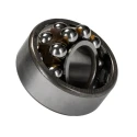 SKF 10 mm ID 2 Row Steel Ball Self-Aligning Ball Bearing 30 mm OD, Non-Metallic Cage, Open Type 2200 ETN9