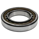 SKF Cylindrical Roller Bearing 80 mm Inside Diameter 170 mm Outside Diameter 39 mm Race Width Non-Metallic NU 316 ECP/C3