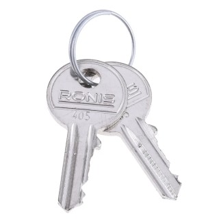 Rittal Cabinet Key 2-way Spanner Lock Key Standard Set of 2 Keys 2532012