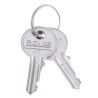 Rittal Cabinet Key 2-way Spanner Lock Key Standard Set of 2 Keys 2532012