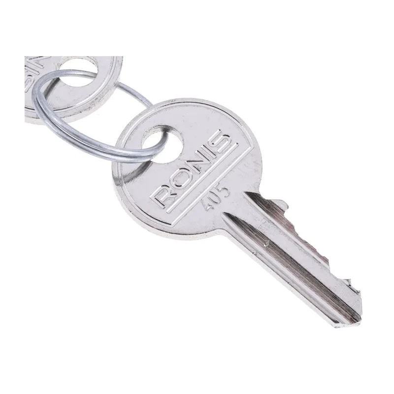 Rittal Cabinet Key 2-way Spanner Lock Key Standard Set of 2 Keys 2532012