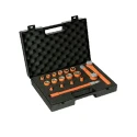 Penta Insulated 18-Piece 3/8 in Hexagon Socket Set VDE/1000V Approved MS89V01