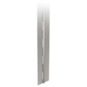 Pinet Piano Hinge Raw 304 Stainless Steel, Knuckle Pin, 2 m Length x 50 mm Width x 2 mm Thickness 42-1-3918