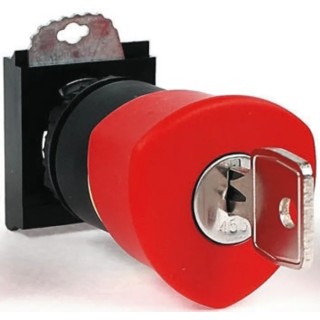 BACO Red Key Reset Push Button Head, 22 mm Cutout, Plastic, Round, IP66, Model L22GR01