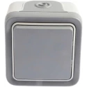 Legrand Grey Surface-Mounted 2 Way Light Switch Plexo 250V 10A IP55 0 697 11