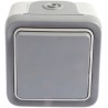 Legrand Grey Surface-Mounted 2 Way Light Switch Plexo 250V 10A IP55 0 697 11