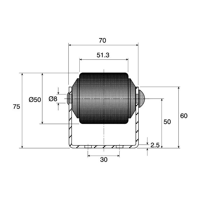 Interroll Heavy Duty Conveyor Roller Track 50 mm Diameter, 51.3 mm Width, 2002 mm Length BU50(19WHEELS)