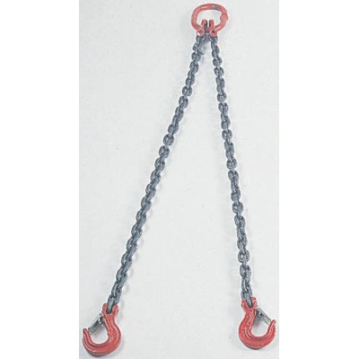 RS PRO 2 Meter Chain Sling with Hook to Eye End Fittings, 1.6 Ton Safe Working Load 674-162