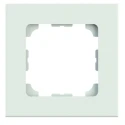 Telegartner Cover Frame for use with Cat5e, Cat6a, Cat6 B00004A0024