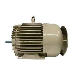 Crompton ND160M 15 HP Ring Frame Textile Motor Image-1