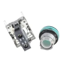 Schneider Electric Panel Mount Green Incandescent Lamp Pilot Light Harmony XB4 22 mm Cutout 250V IP69 IP69K IP67 XB4BV63