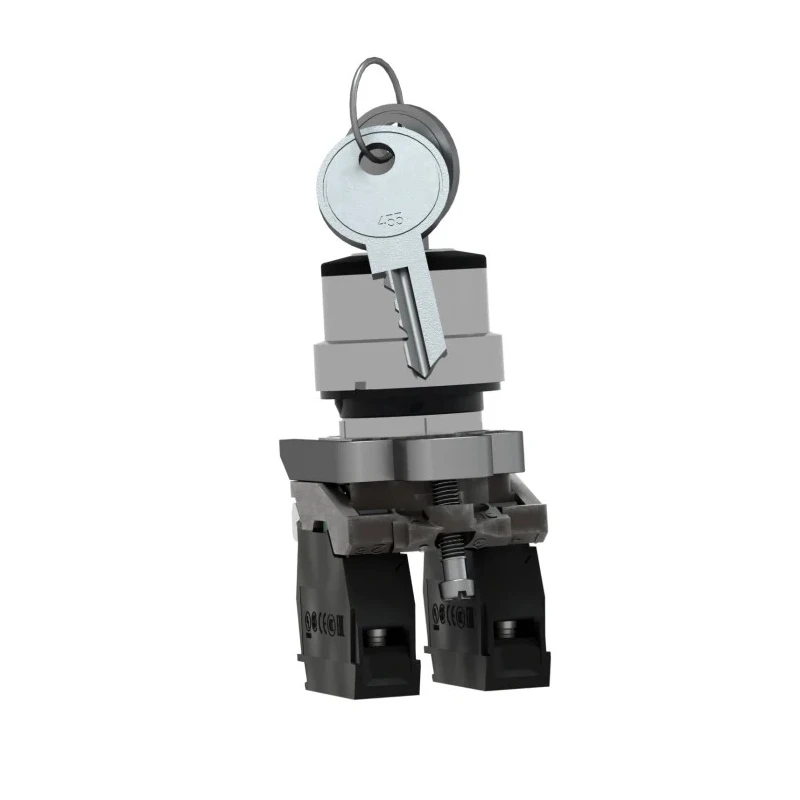 Schneider Electric IP66, IP67, IP69K 3-Position Key Switch 2 NO Contacts 100 mA 1.2A 600V AC/DC Screw Terminal XB4BG03